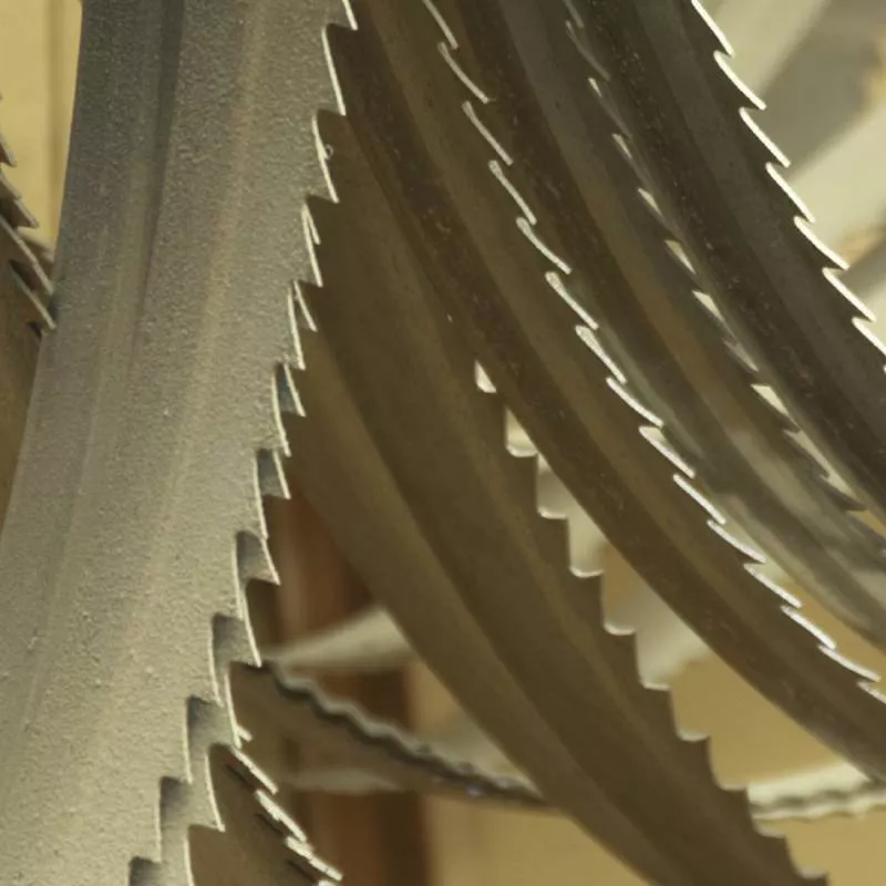 Lame Scie Ruban 14 Z 1335x13x0.65 Mm FEMI DCS NG110 - 3280063 3 Lame Scie Ruban 14 Z 1335x13x0.65 Mm FEMI DCS NG110 - 3280063